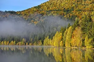 Autumn landscape in the mountains with trees reflecting in the water at St. Ana's lake, Romania