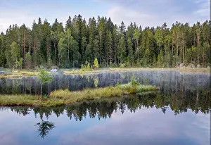Moods Prints: Autumn landscape with reflections and fog at moody morning in Nuuksio National Park