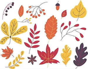 Autumn Leaves Prints: Autumn leaves vector illustration collection