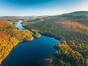 Indian Summer Prints: Autumn in Mont Tremblant National Park, Quebec, Canada