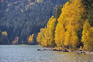 Lake Forest Prints: Autumn park landscape. The bright colors of autumn in the park by the lake