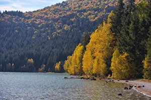 Autumn park landscape. The bright colors of autumn in the park by the lake