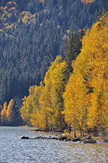 Autumn park landscape. The bright colors of autumn in the park by the lake