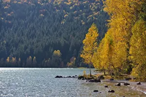Autumn park landscape. The bright colors of autumn in the park by the lake