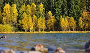 Autumn park landscape. The bright colors of autumn in the park by the lake