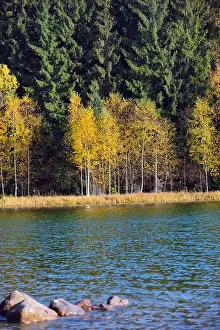 Autumn park landscape. The bright colors of autumn in the park by the lake