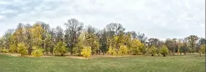 Leaves Green Prints: autumn park landscape. trees in yellow and orange colors on cloudy sky background
