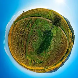 Autumn planet. Sunlit valleys, mountains and a variety of autumn colors. Alsace, France. Little planet projection