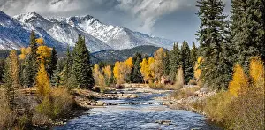 Nature Conservation Prints: Autumn in San Juan National Forest (near Vallecito Res), Colorado