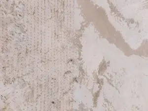 Autumn sea beach, view from the drone