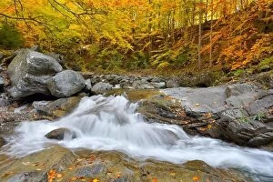 Images Dated 14th October 2017: Autumn waterfall and creek woods with yellow trees foliage and rocks in forest mountain