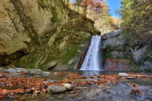 Autumn waterfall and creek woods with yellow trees foliage and rocks in forest mountain
