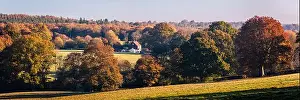 Country House Prints: Autumn woodland around Darwell Reservoir on the high weald East Sussex south east England UK