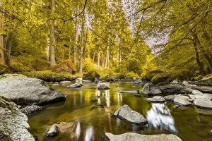 Images Dated 23rd July 2017: Autumnal forest, rocks covered with moss, fallen leaves. Mountain river with waterfalls at autumn