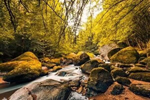 Images Dated 23rd July 2017: Autumnal forest, rocks covered with moss, fallen leaves. Mountain river with waterfalls at autumn