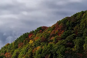 Charlevoix Region Prints: Autumnal Hill by Hwy 138 in Quebec