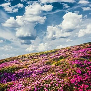 Images Dated 12th June 2014: Awesome summer sunny landscape with fluffy clouds in blue sky