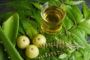 Aromatherapy Prints: Ayurvedic Oil or Herbal Hair Oil with Herbs tulsi