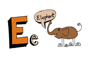 Zebra Prints: A b c d e f g h i j k l m n o p q rs t u v w x y z cartoon text font Hand drawing vector letters