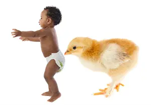 Diaper Prints: baby chicken scared humans human beings people folk persons human human being