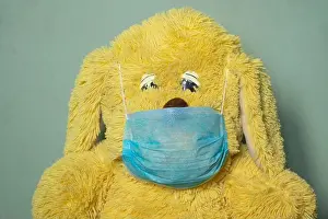 Teddy Prints: baby teddy bear masked medical closeup epidemic