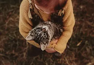 Years Old Prints: baby toddler holding kitten cat in the fall