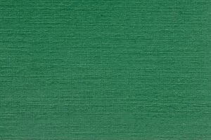 Images Dated 21st September 2016: Background of green paper. Texture in extremely high resolution