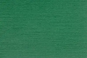 Ripped Prints: Background of green paper. Texture in extremely high resolution