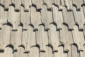 Romanian Prints: Background of the wooden roof tiles Giurgiu, Romania, Europe