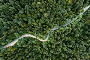 Treetop Prints: Backlights of a driving car in a curvy road as long exposure from a drone