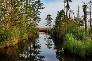 Fluvial Landforms Of Streams Prints: Backwater Reflections at Dusk, Blackwater National Wildlife Refuge MD USA