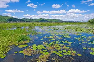 Mississippi River Prints: Backwater Wetlands of the Mississippi River in the Trempealeau National Wildlife Refuge in Wisconsin