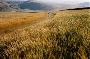 Iranian Prints: Bad Ma ra Khahad Bord The Wind Will Carry US Year : 1999 Iran / France Director : Abbas Kiarostami