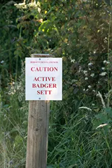 Bait Prints: Badger Sett warning sign