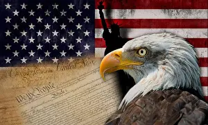 Bald Prints: Bald eagle and the silhouette of the statue of liberty with some historical documents on the american flag