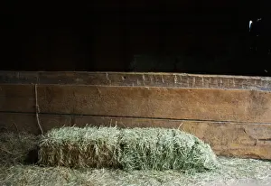 Trough Prints: Bale of hay on a barn floor