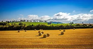 Northern Ireland Prints: Bales of hay in the agricultural landscape, Scrabo, North Down, Northern Ireland