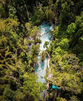 Surat Thani Prints: Ban Nam Rat Watershed Forest in Surat Thani, Thailand