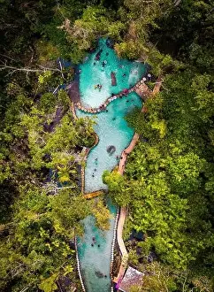 Surat Thani Prints: Ban Nam Rat Watershed Forest in Surat Thani, Thailand