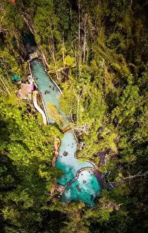Surat Thani Prints: Ban Nam Rat Watershed Forest in Surat Thani, Thailand