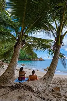 Dominican Prints: Banana beach Phuket Thailand, tropical beach with palm trees in Phuket Thailand
