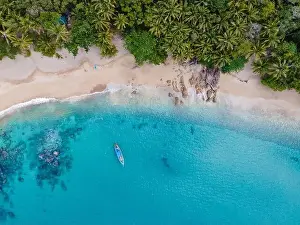 Dominican Prints: Banana beach Phuket Thailand, tropical beach with palm trees in Phuket Thailand