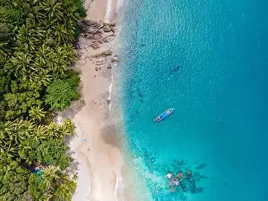 Dominican Prints: Banana beach Phuket Thailand, tropical beach with palm trees in Phuket Thailand