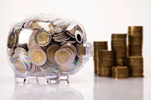 Bank Prints: bank lending institution coin