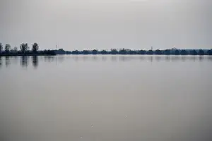 Bank of a river in Bavaria Photographed in detail