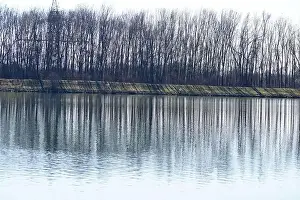 Stone Park Prints: Bank of a river in Bavaria Photographed in detail