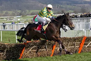 Cheltenham Prints: BARACOUDA RIDDEN BY T.DOUMEN CHELTENHAM RACECOURSE CHELTENHAM 13 March 2003