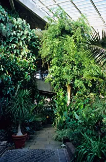 London England Prints: Barbican Conservatory, Barbican Estate, City of London, London, England, UK