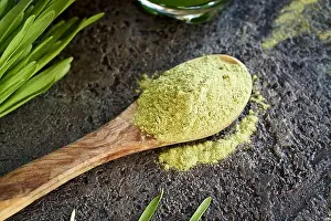 Alternative Medicine Prints: Barley grass powder on a spoon with fresh blades in the background