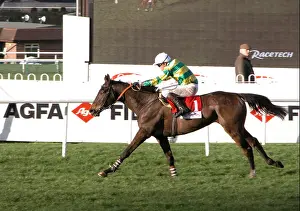 Speed Race Prints: Barracuda owned by JP McManus ridden by Thierry Doumen wins the Tote Scoop6 Sandown Hurdle